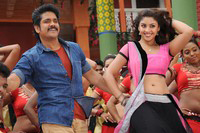 Bhai Movie New Stills
